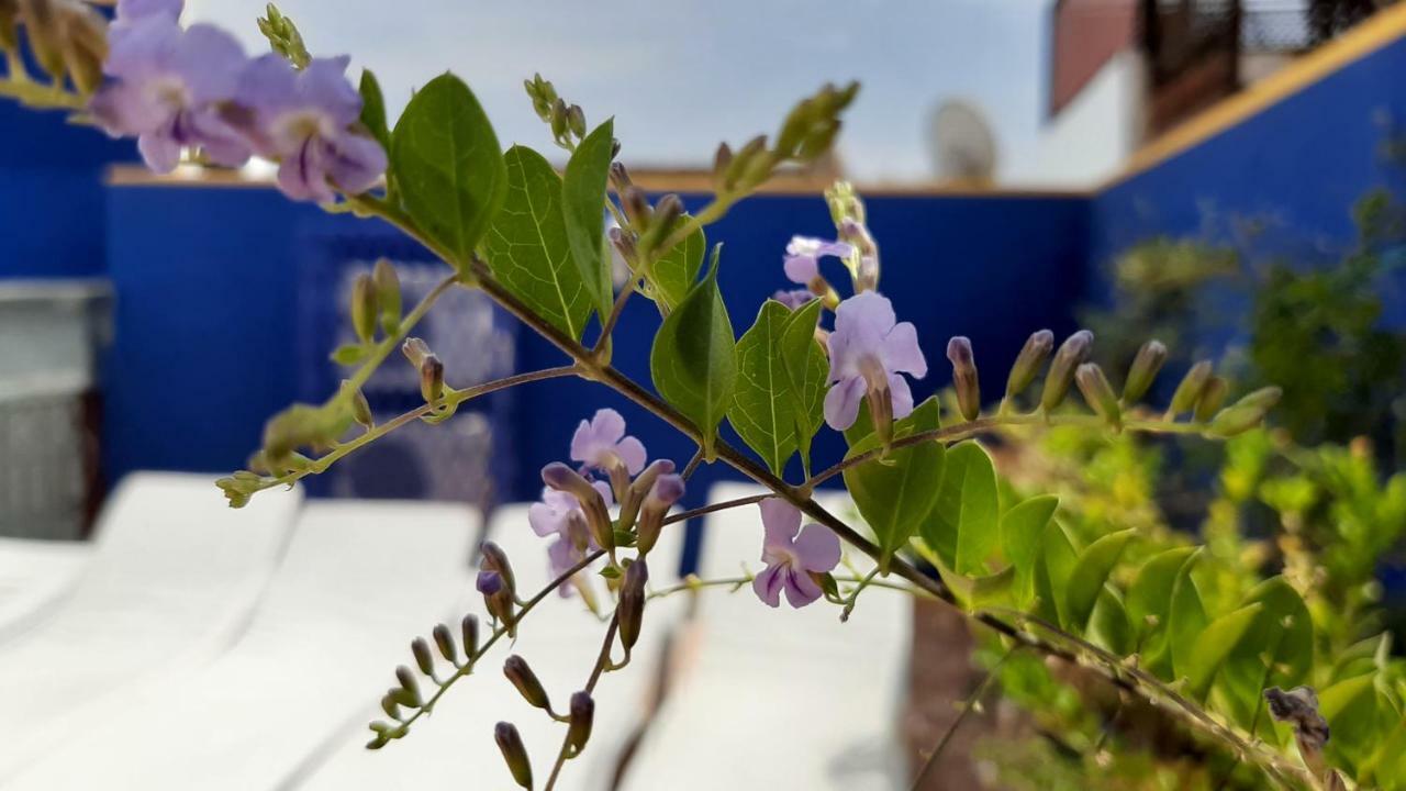 Riad La Porte Des 5 Jardins Marrakesh Ngoại thất bức ảnh